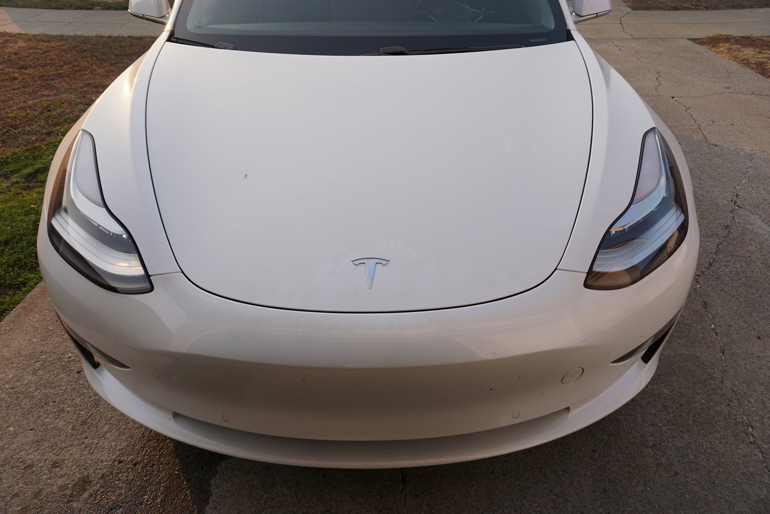 Pearly White Wednesday