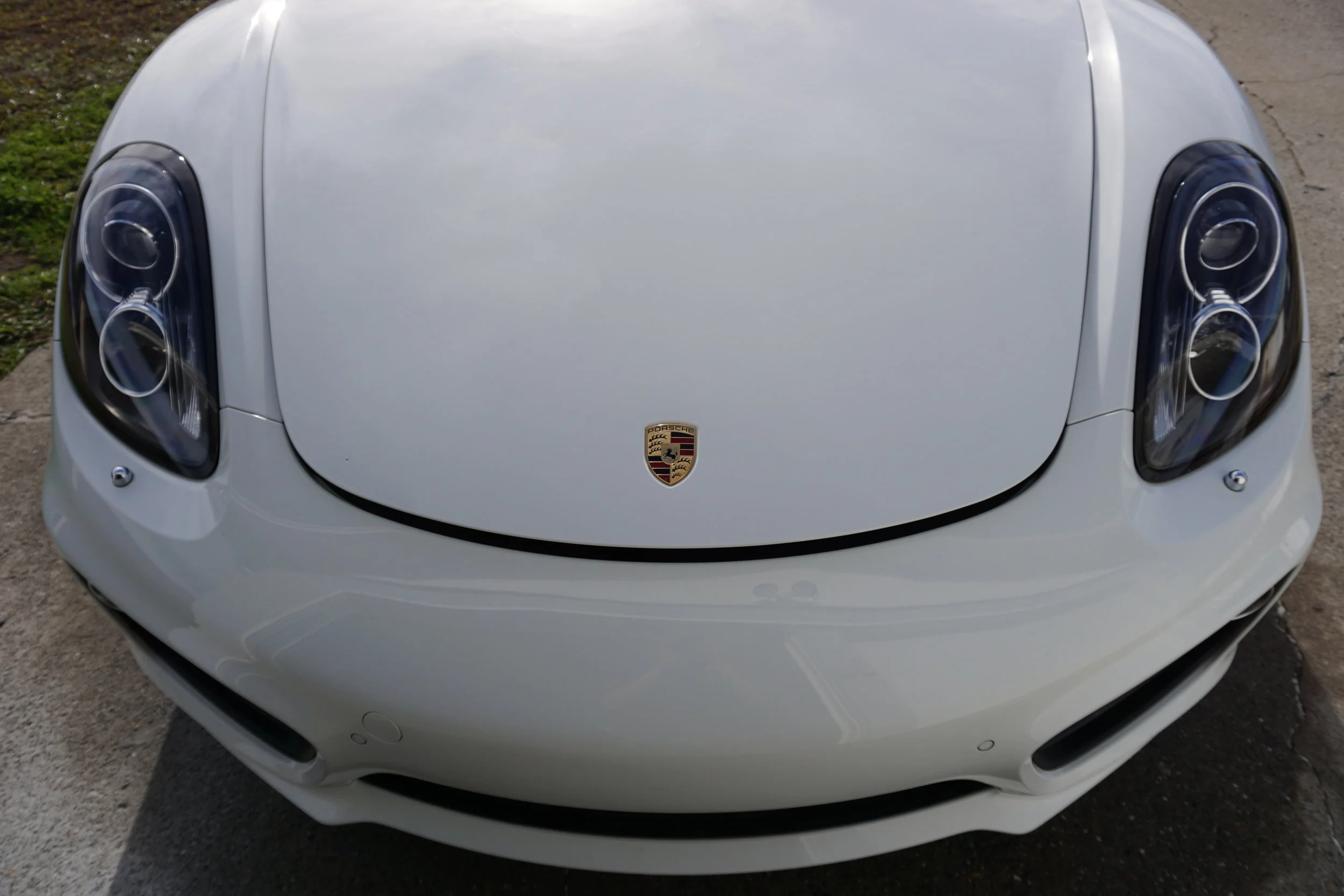 White Cayman Christmas