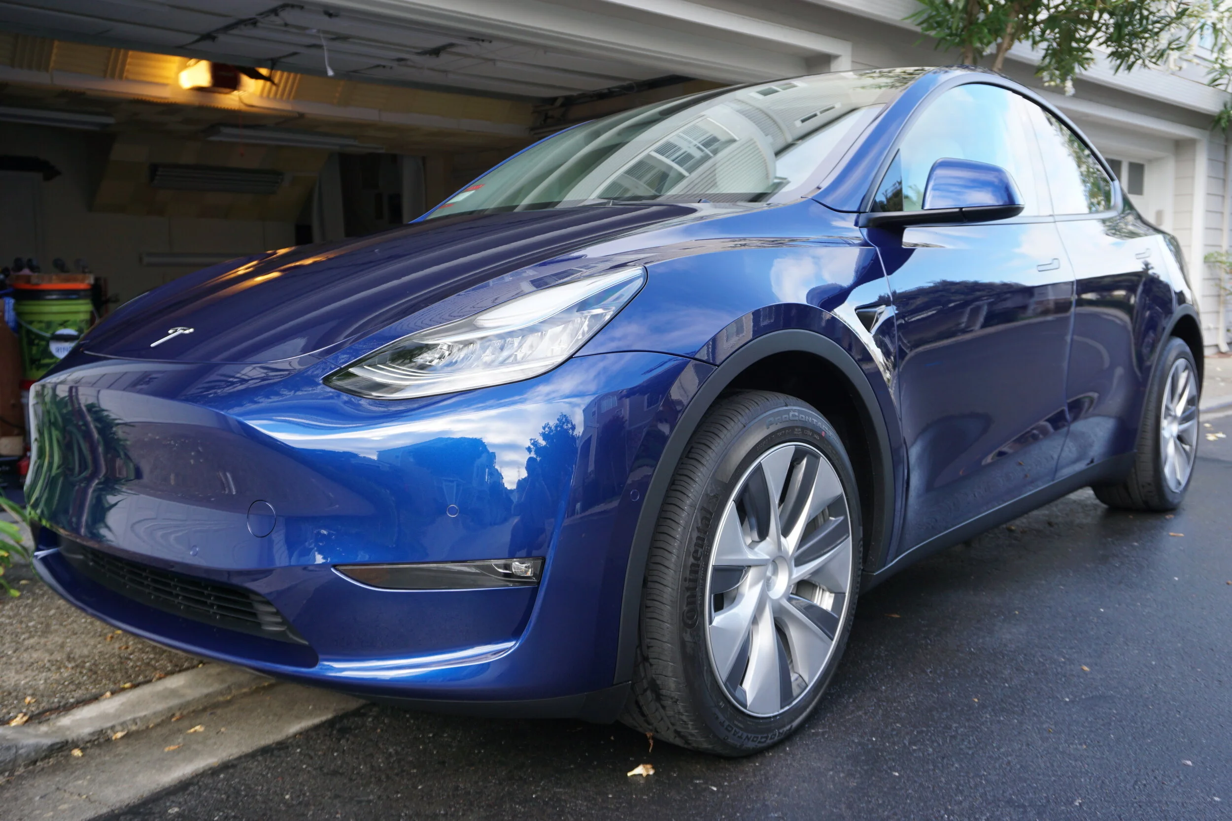 Taking the Blue Pill