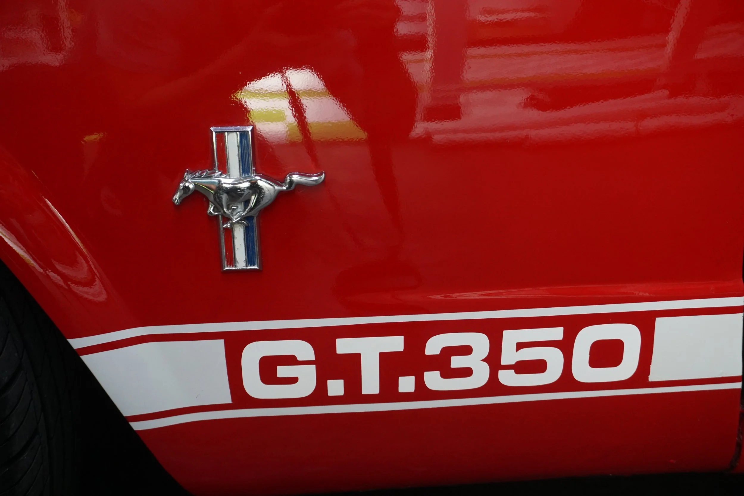 Fastback and Vintage