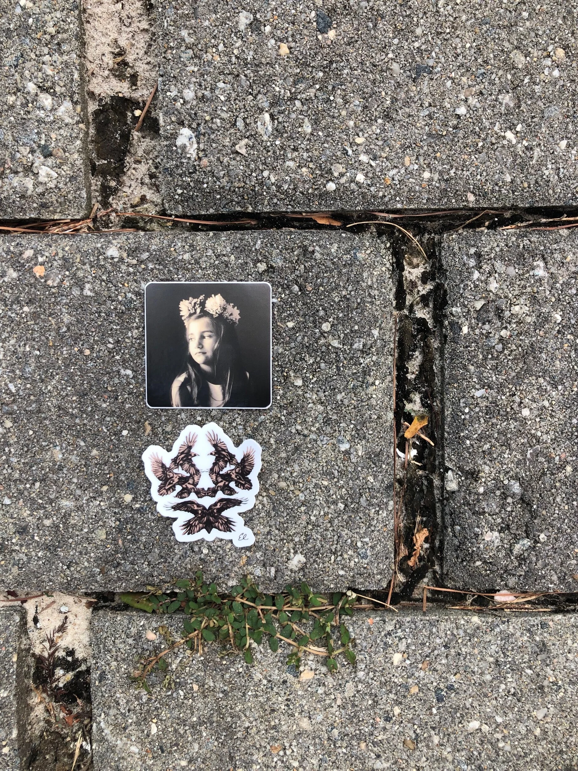 91CBF85F-6BF9-4DB2-AF57-EB0175C72261