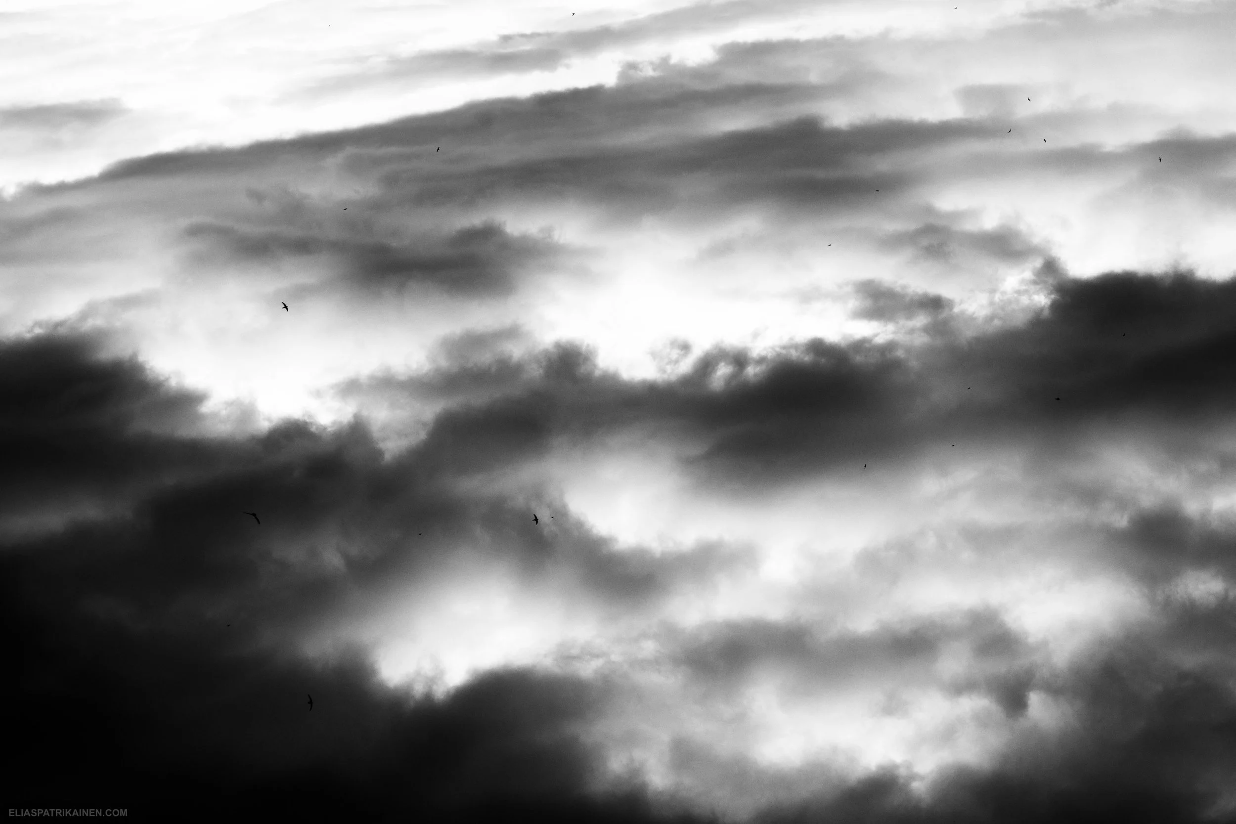 DSC_2859-2.jpg