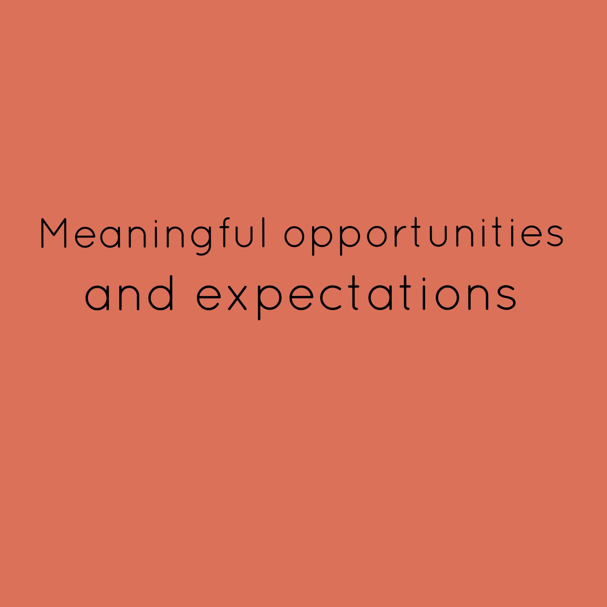 4. Meaningful opportunities and expectations
