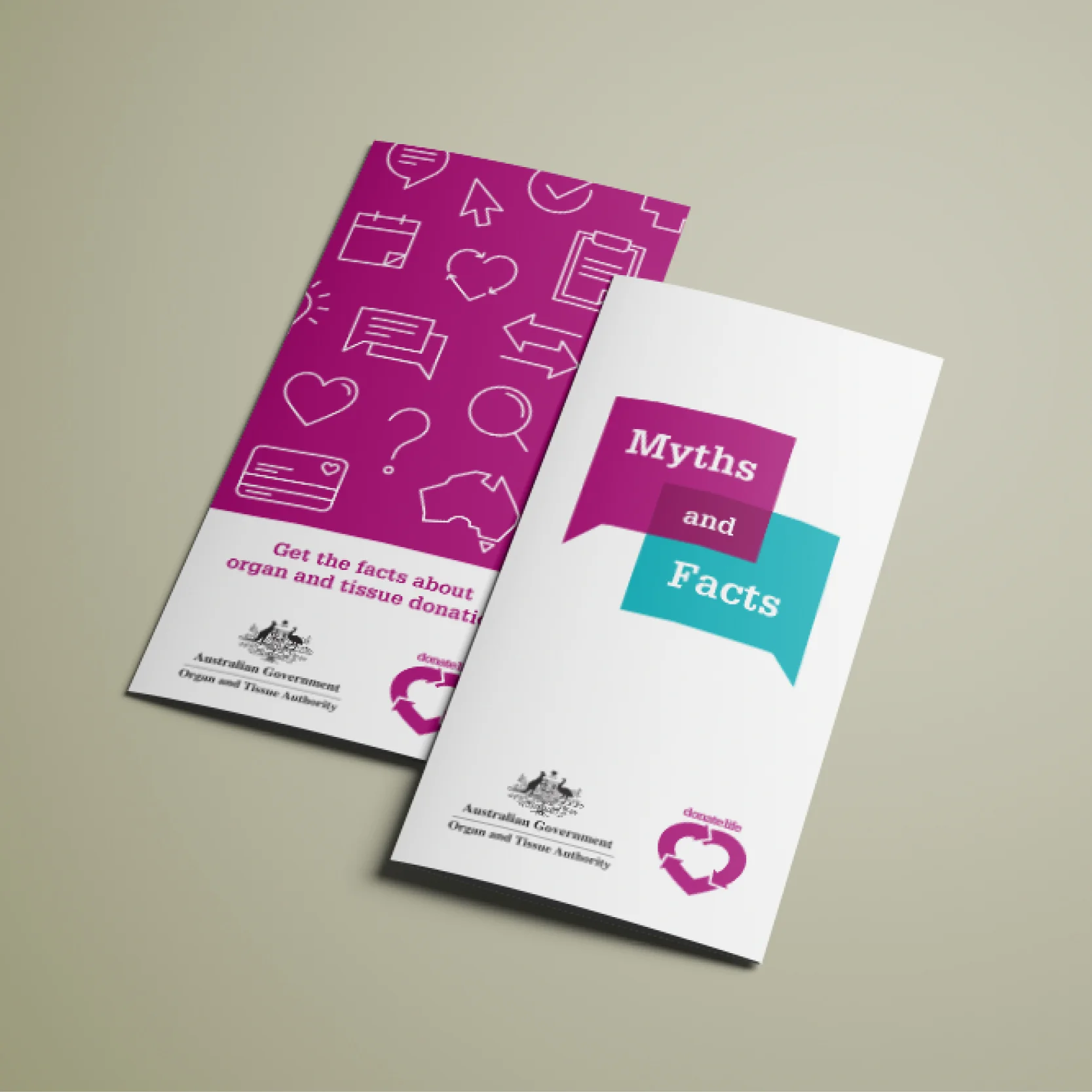 Facts about organ donation // Brochure design