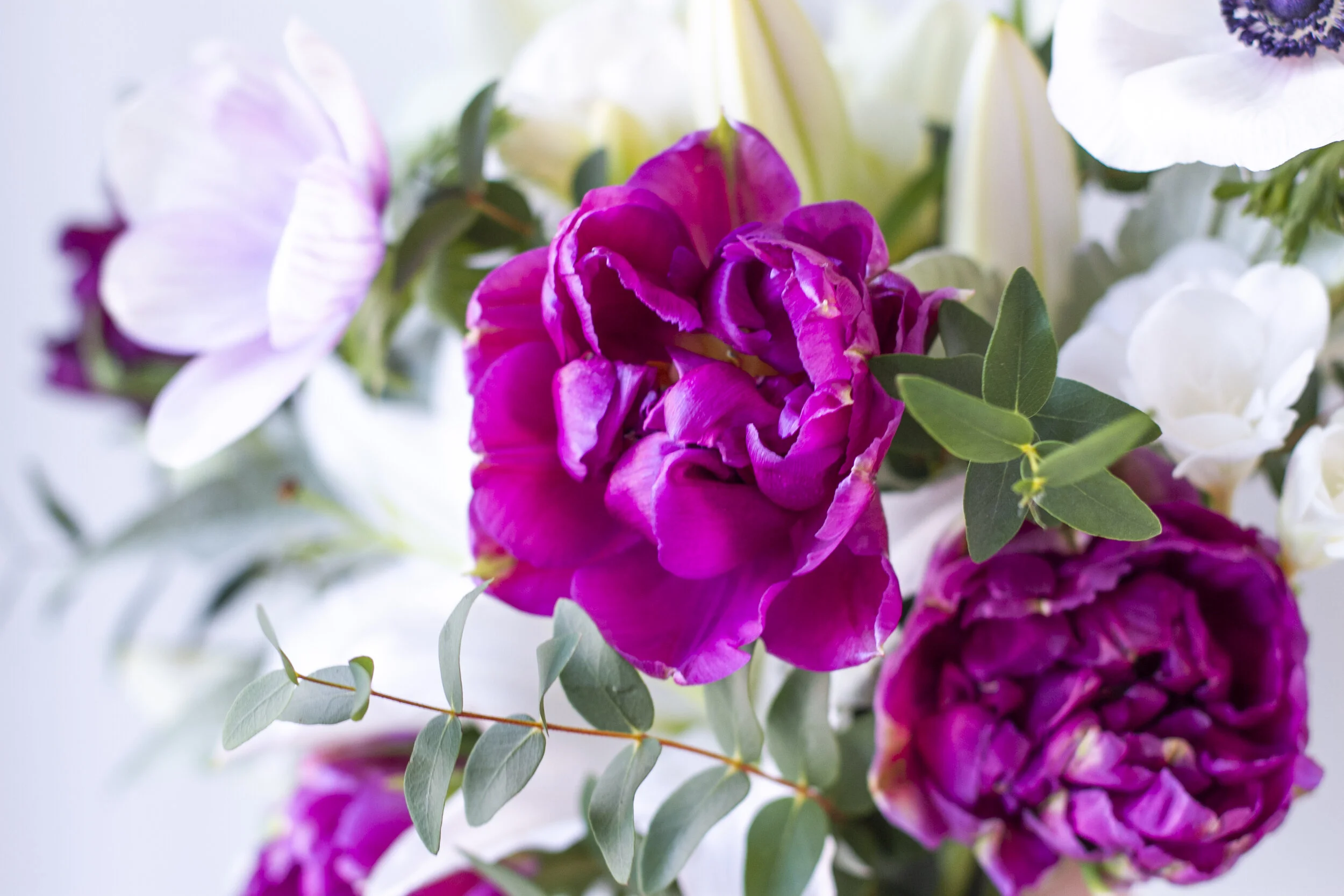 Portland's Sustainable Florist
