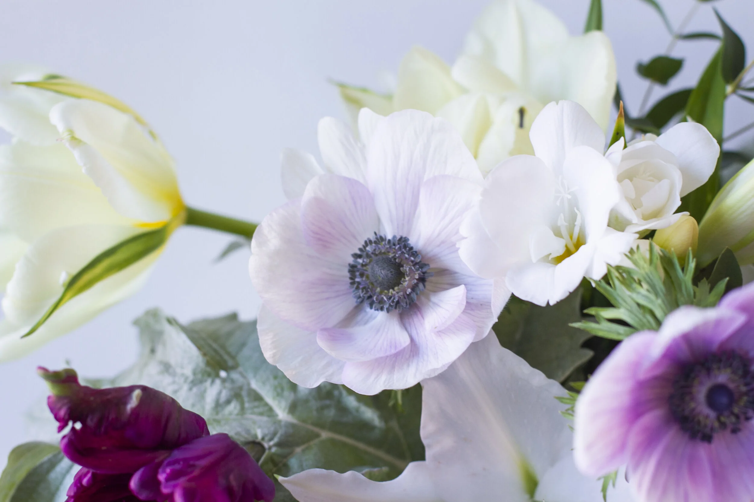 Portland's Sustainable Florist