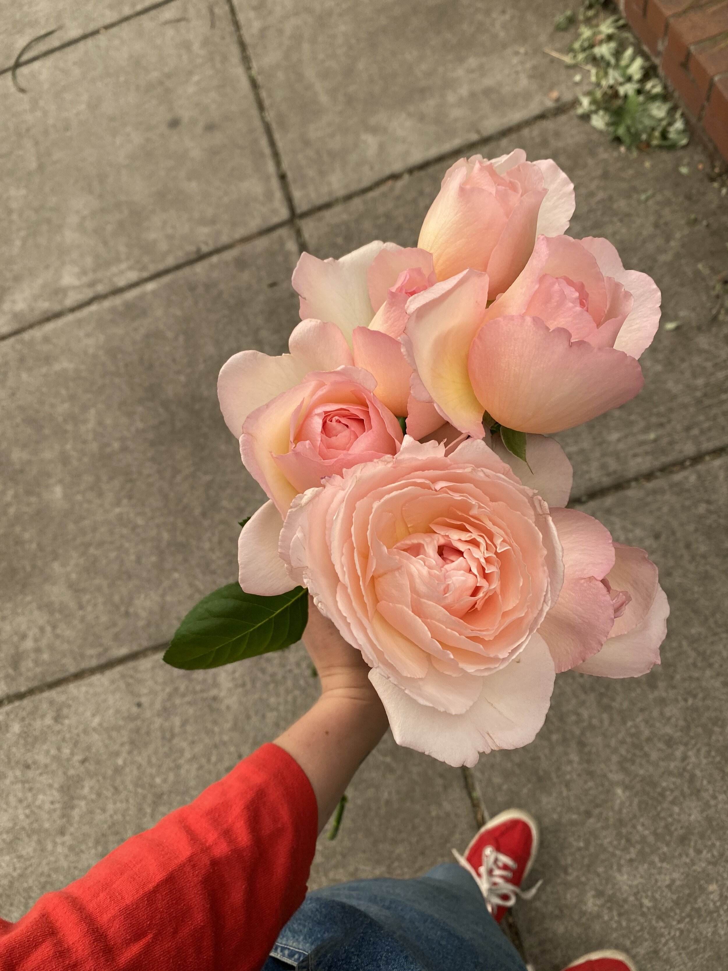 portland_florist_sustainable_oregon_wedding_local_flowers_September_7705.jpeg