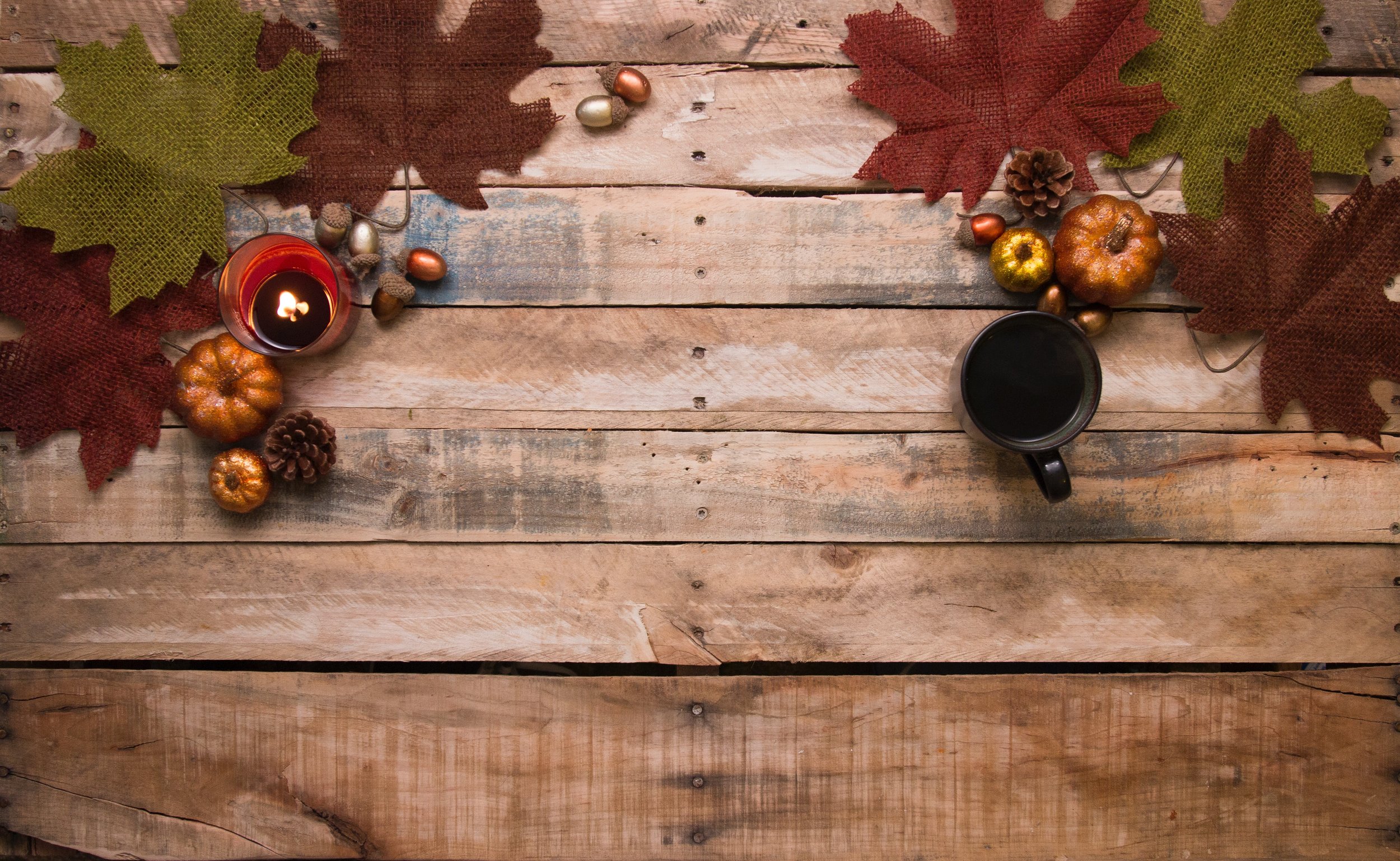 acorns-autumn-autumn-decoration-730286.jpg
