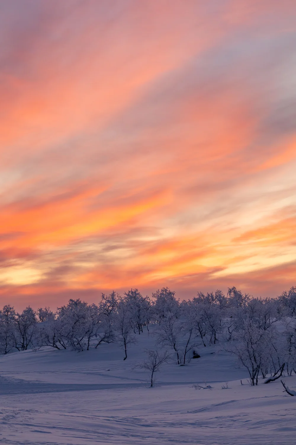 Liekkitaivas 4.1.2025