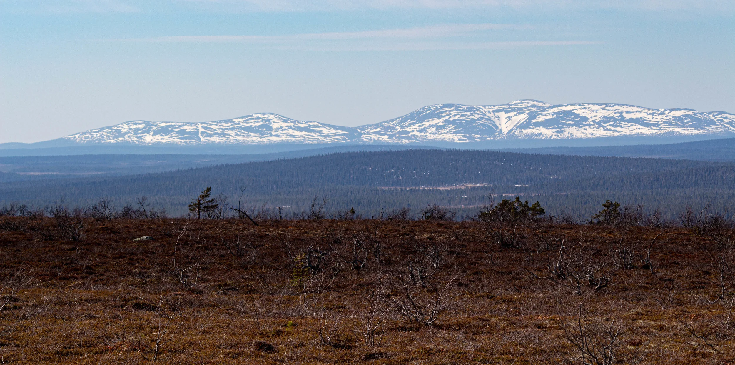IMG_6745.jpg