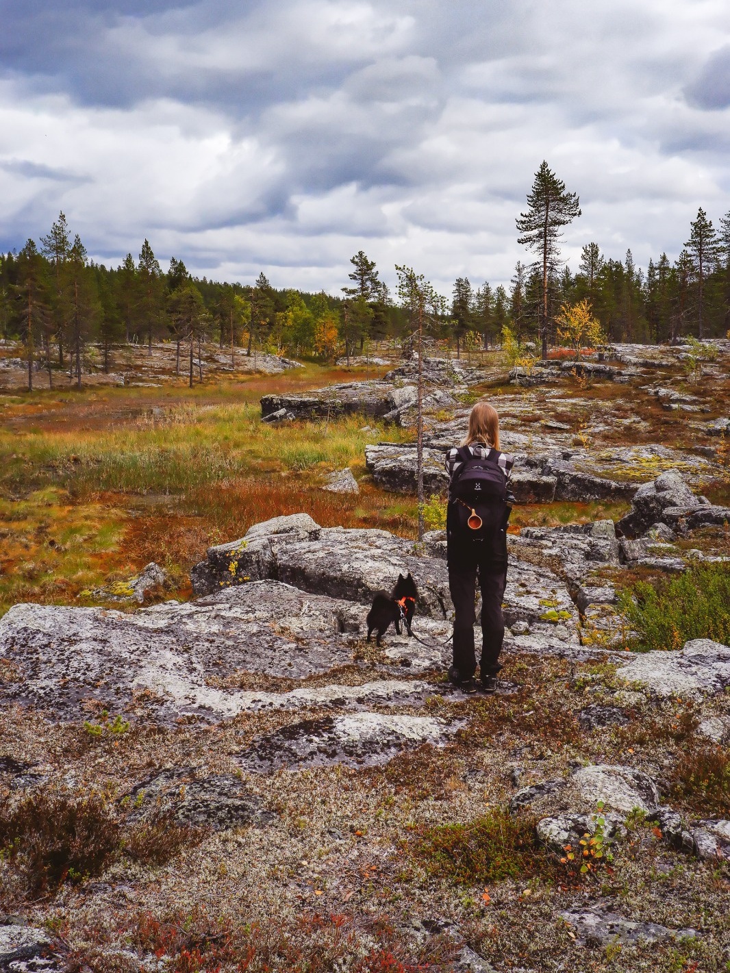 Kuva: Jonna Saari