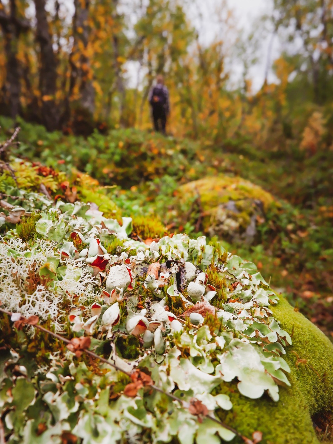 Kuva: Jonna Saari