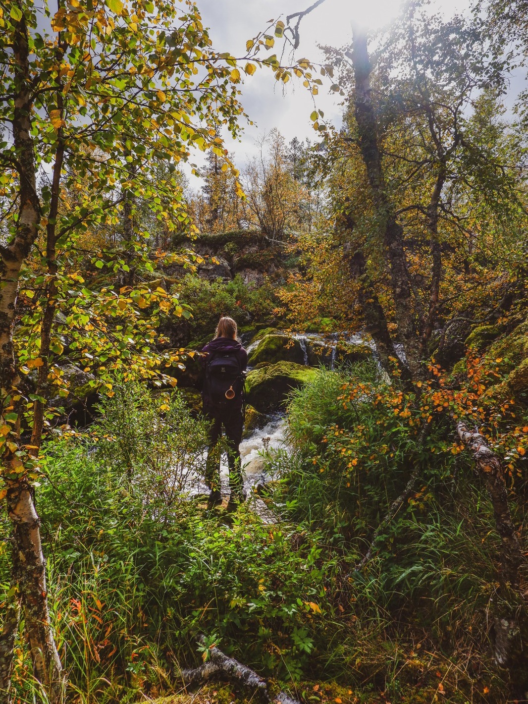 Kuva: Jonna Saari