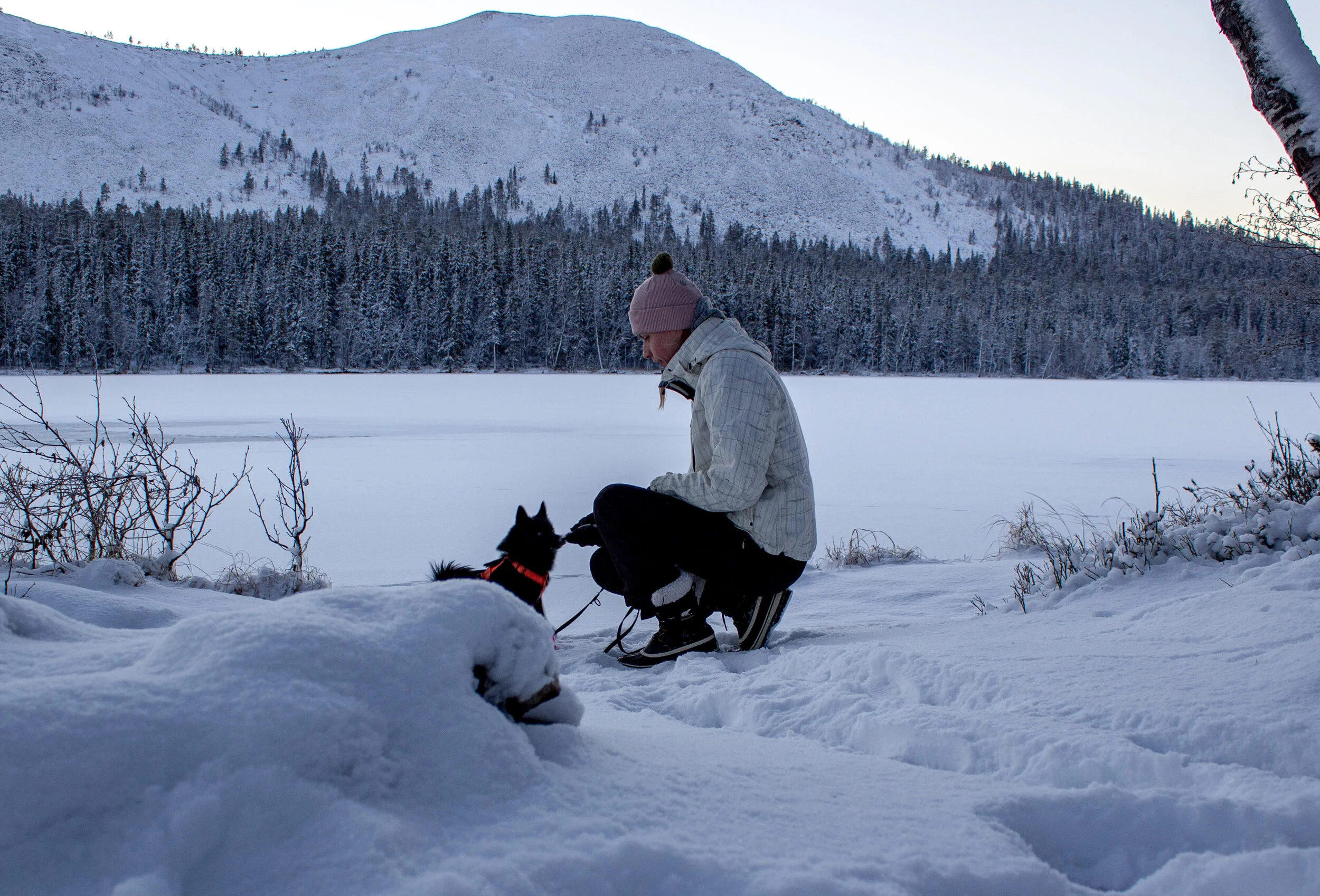 Alkutalven ajatuksia