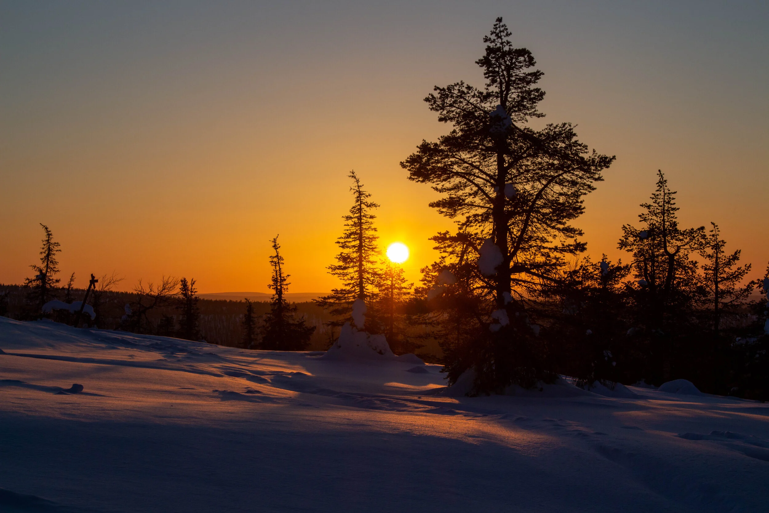 Metsälomalla Muoniossa