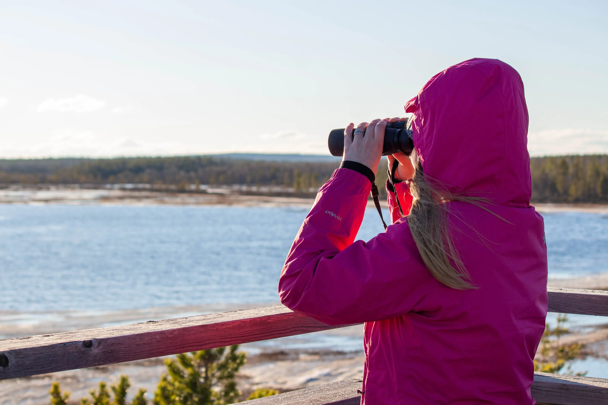 Ensimmäisellä linturetkellä