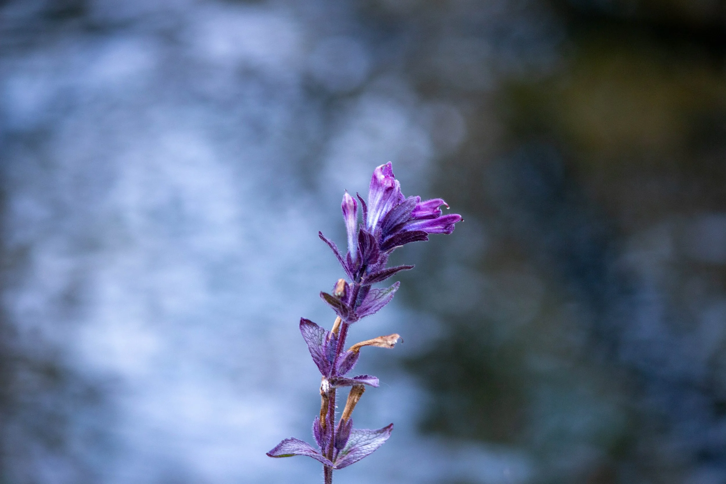 2023: Yksityiskohtia vuoden varrelta