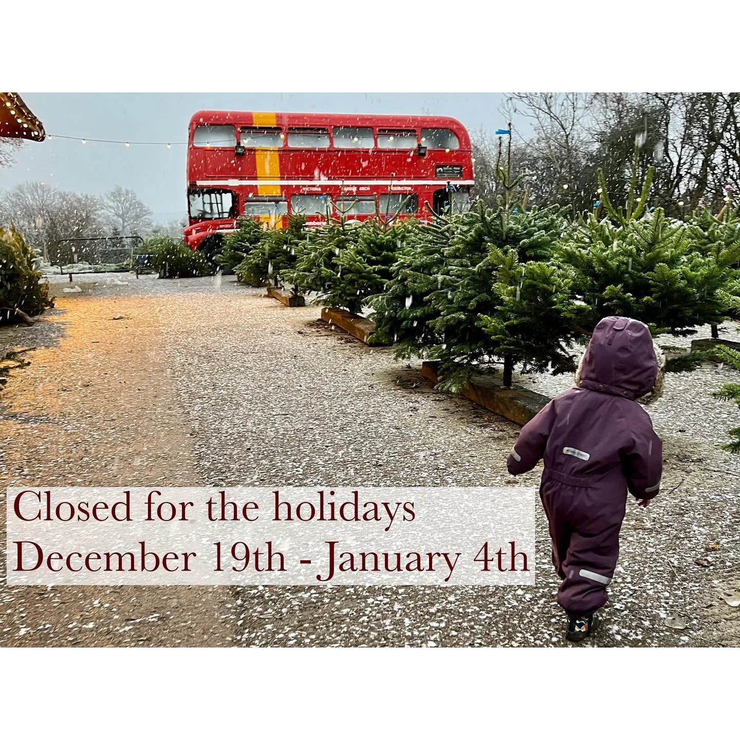 | Winter Break |

Looking forward to a much needed break over the holiday season! Just 3 days left of clinics then a long chunk of time off to travel and soak up the season with friends and family! 

Last days of clinic this week:
Wednesday 14th -  o