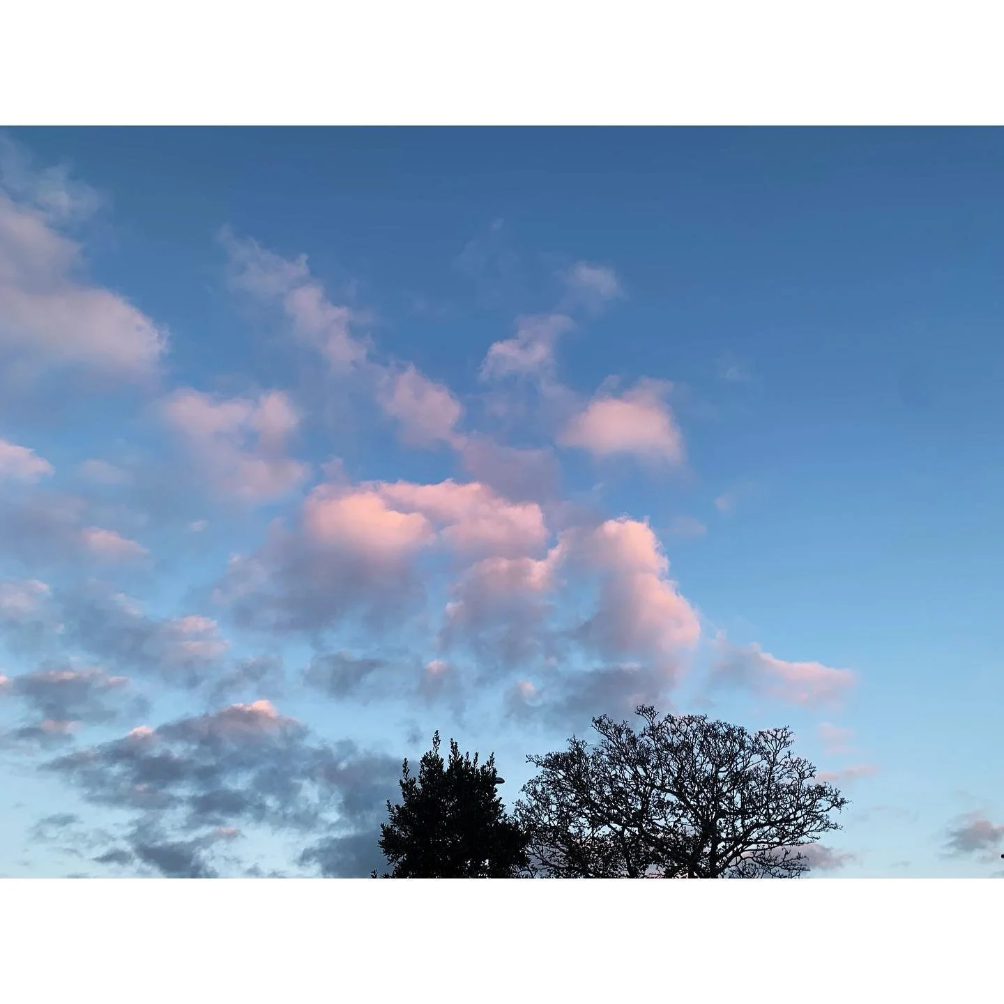 | Winters&rsquo; on it&rsquo;s way ❄️|

Autumn/Winter candy floss skies are really something special - maybe it&rsquo;s because they are so fleeting as day quickly turns to night 🤔

Winter solstice is just around the corner when we will be entering 