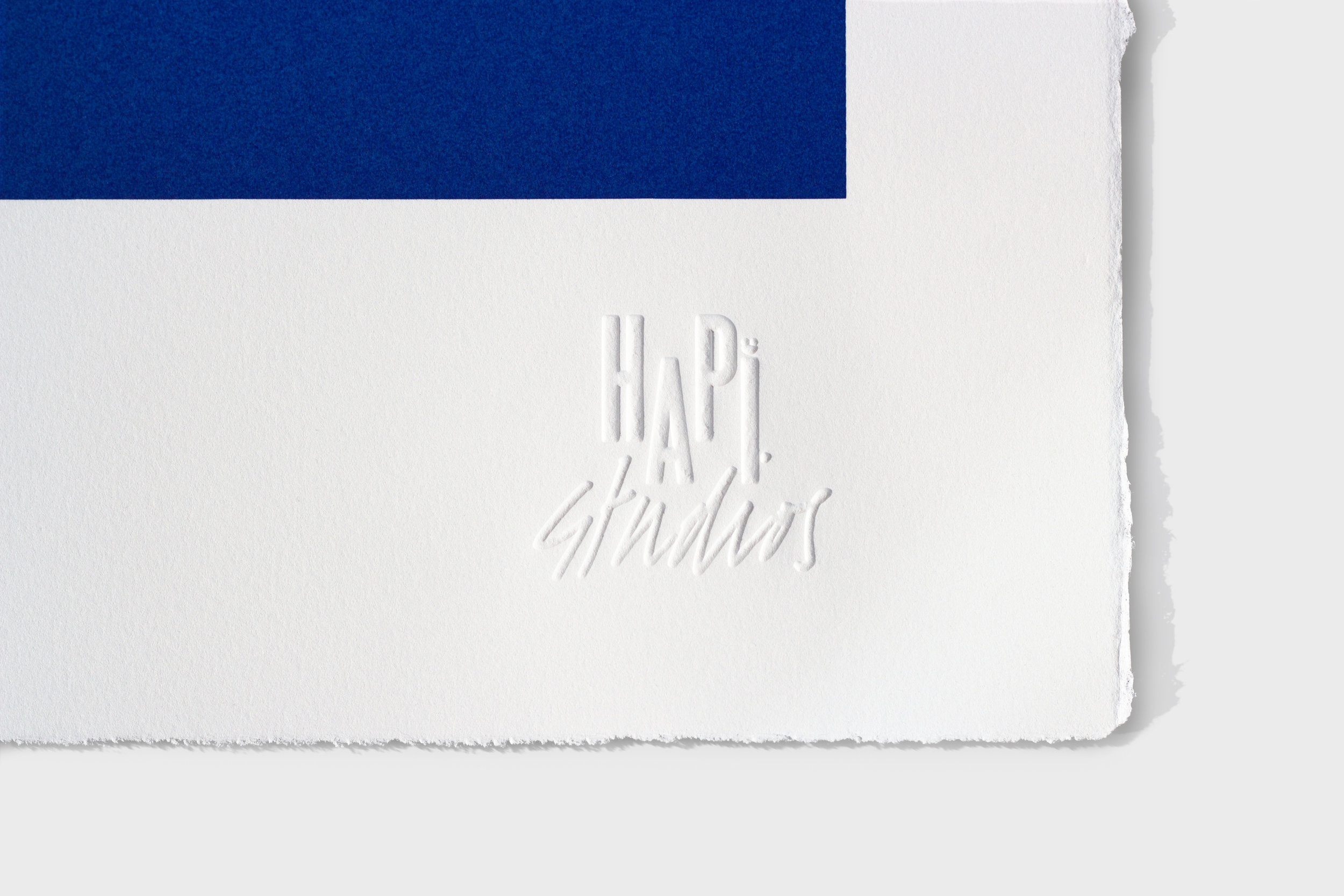 HAPI_print_detail_3.jpg