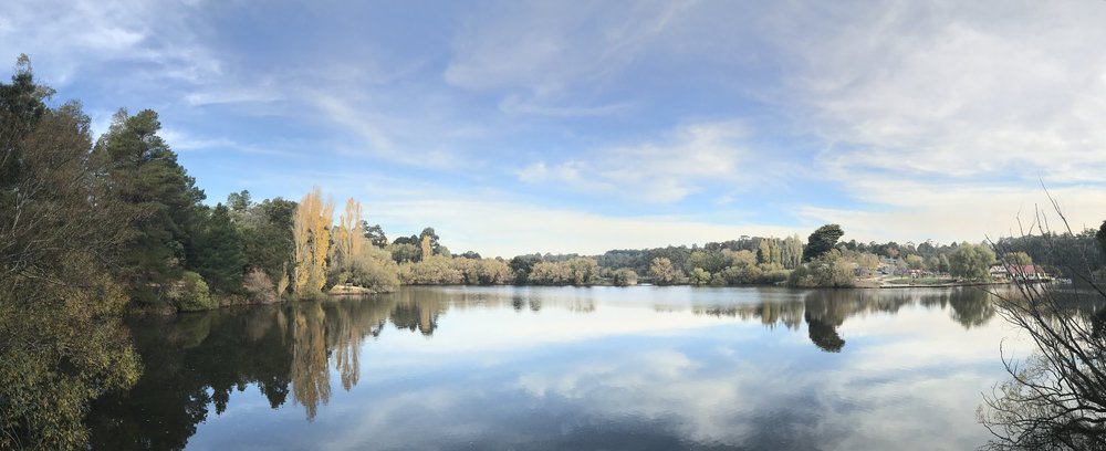 Dr Annabelle Chow Psychology.jpg