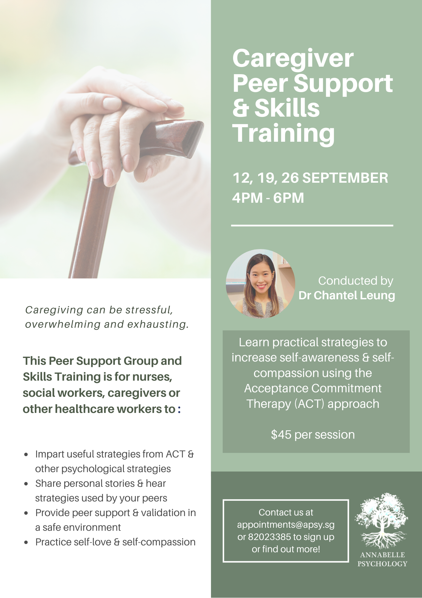 Care Support Course Caregiver Peer Support Group & Skills Training (2020)