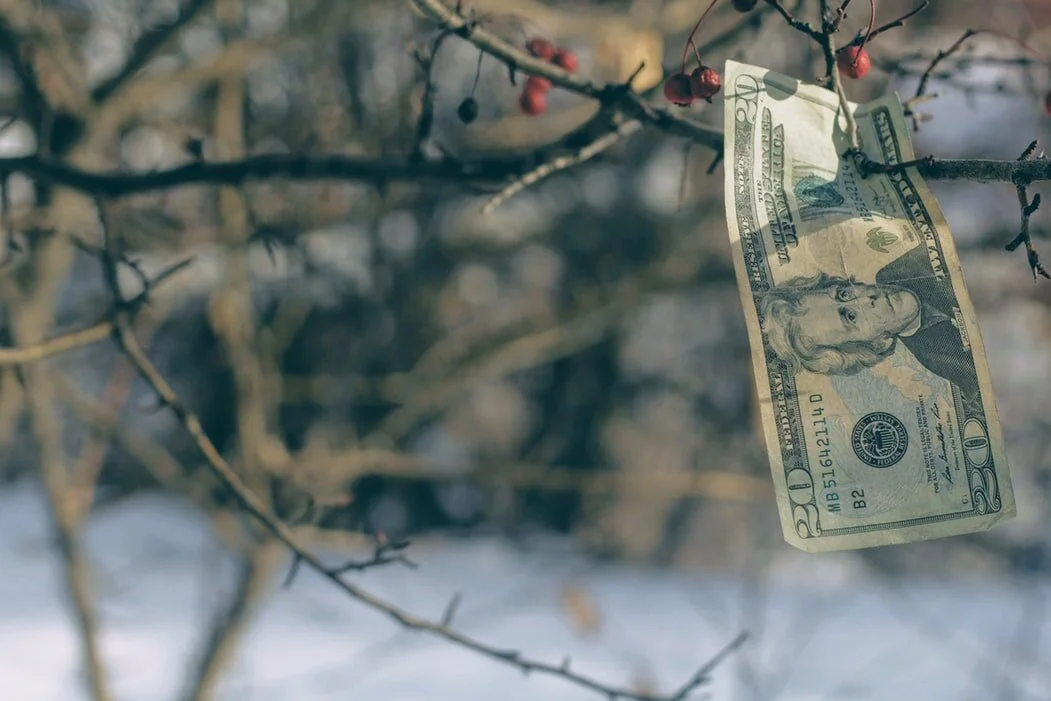 Met geduld groeit geld aan de (beleggings)boom