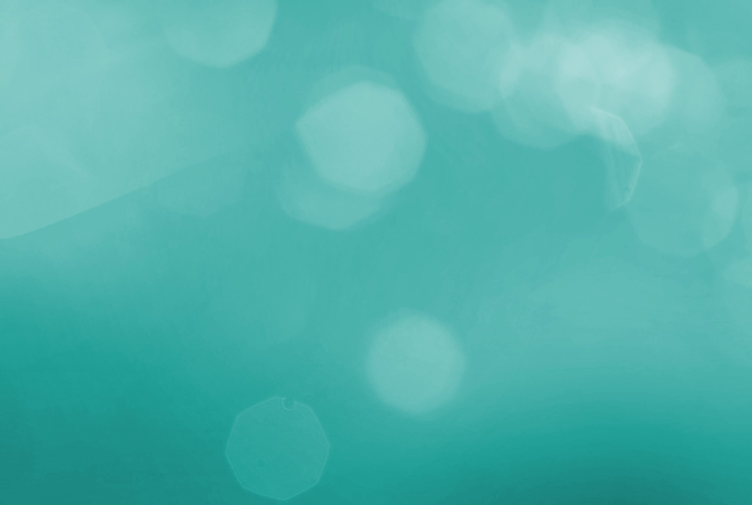 Bokeh.jpg
