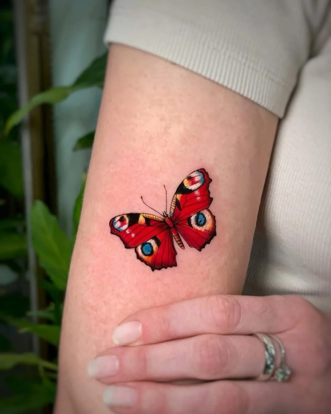 Artist | @magdatrojanowskatattoo 
NOIA Guest Artist / January 13-16&rsquo;26
Booking > @magdatrojanowskatattoo or check the link in our bio

#berlintattoo #butterflytattoo #colortattoo