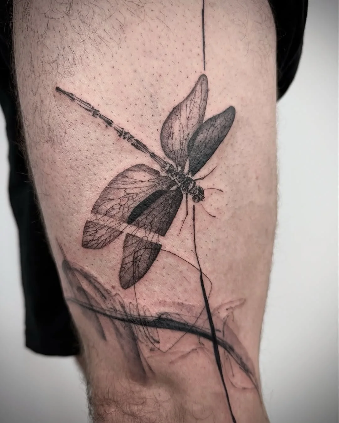 Caught mid-flight. Permanently.
@sionaxttt brings a naturalist&rsquo;s eye and an artist&rsquo;s instinct to every piece, this dragonfly lives somewhere between scientific illustration and abstract gesture. Still, and somehow still moving

Resident a