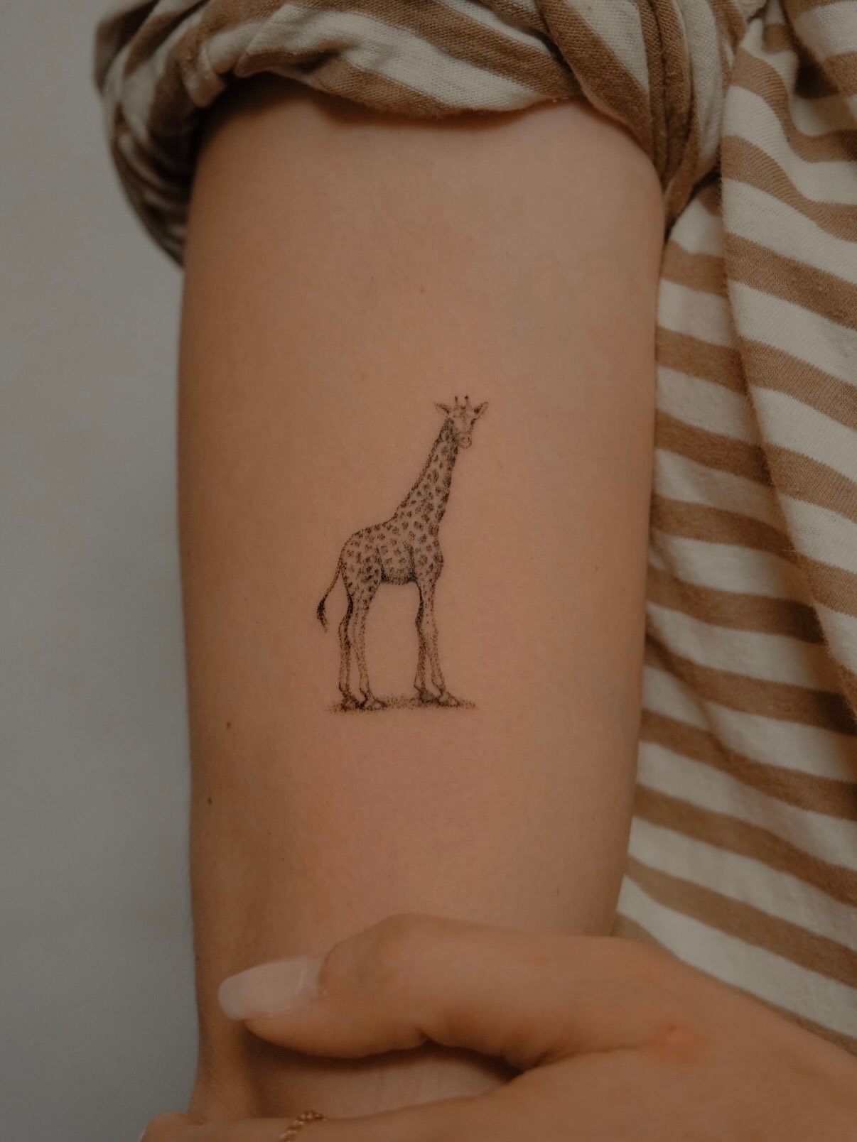 Wildlife in pure stipple. @bless_dot builds sharks, big cats, whales and many other animals from fine dots, no outlines. 

Guesting in November from 17-19! Bookings through him or the link in bio.

#stippletattoo #dotworktattoo #dotwork #animaltattoo