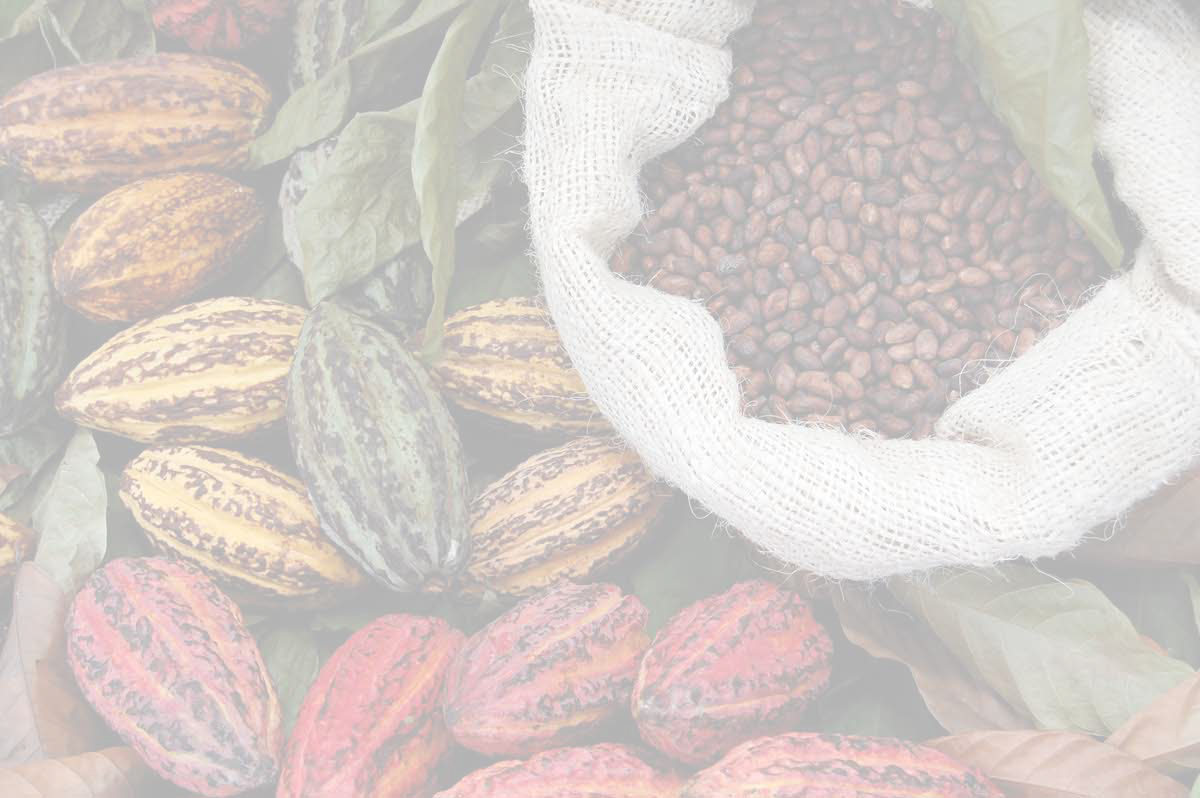 cocao-and-caffeine.png