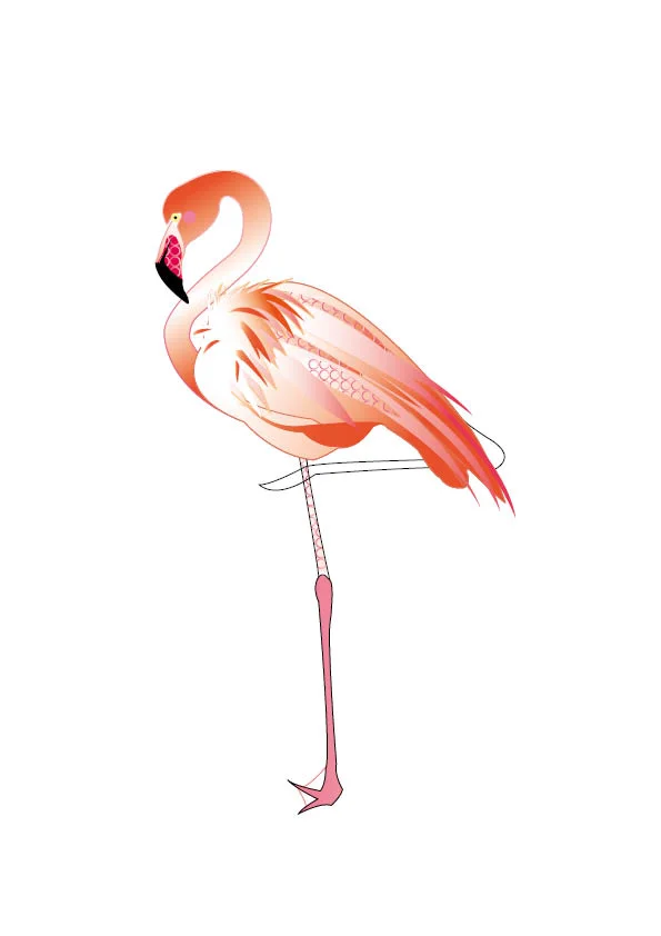 flamingo.jpg