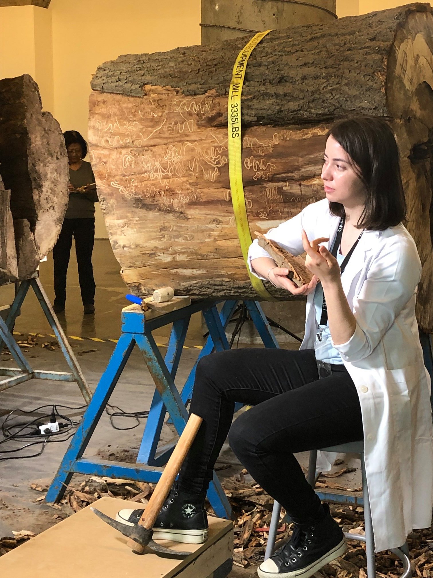 Participant Amanda Boetzkes stages an intervention with Ntoukas, re-imagining Dion’s work as a Joseph Beuys’s work for the contemporary age (How to Explain Art to a Dead Tree) (with permission)   