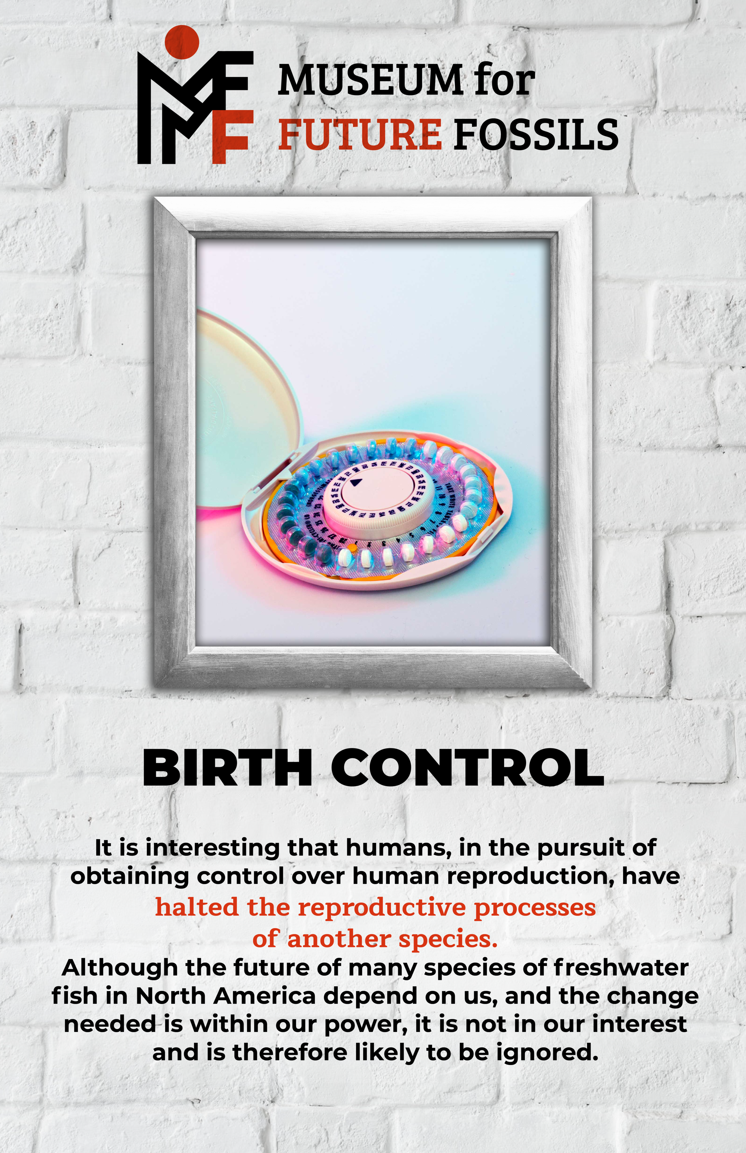 SM Birth Control-01.png