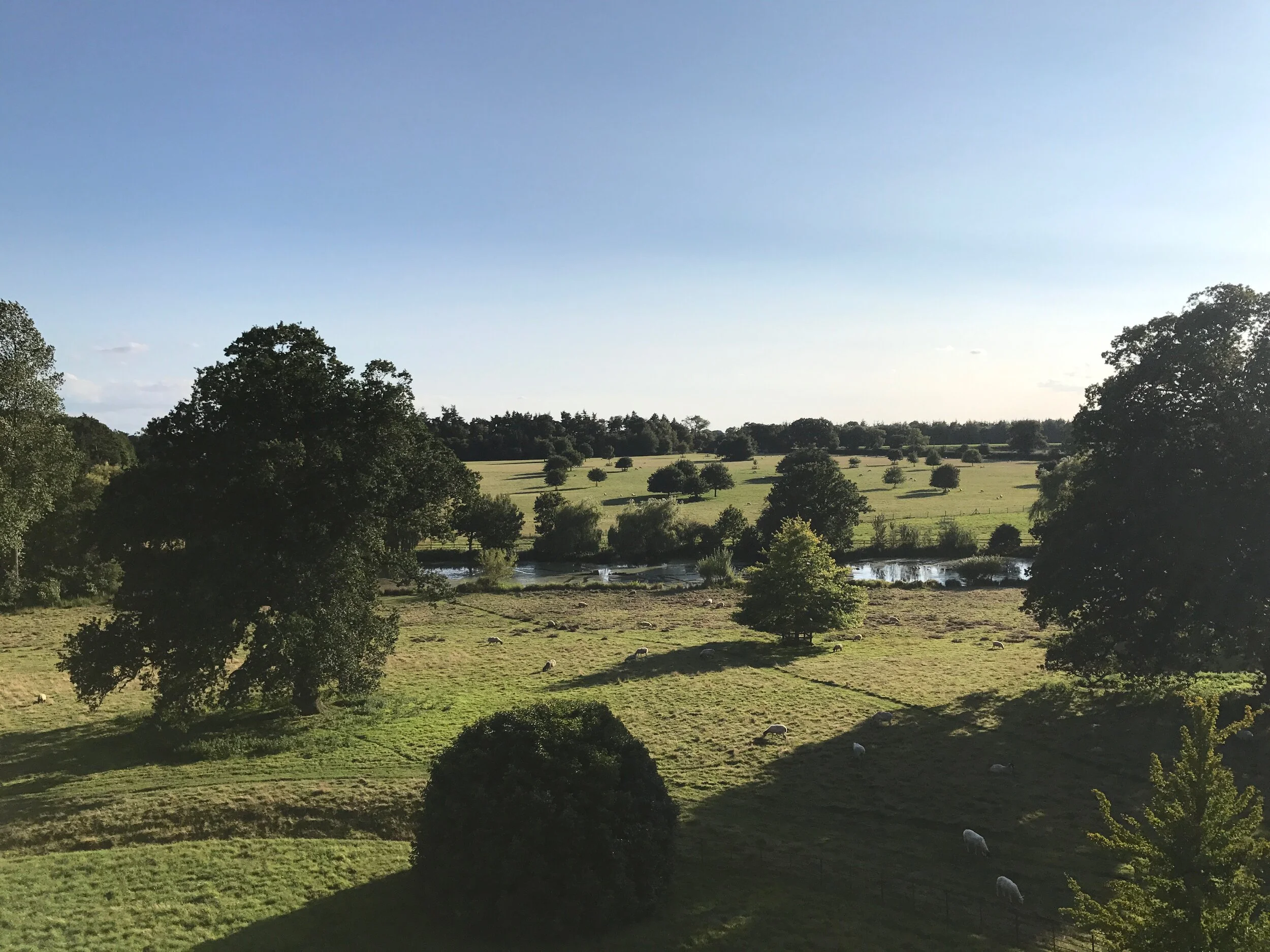 View from the top of the Hall.jpg