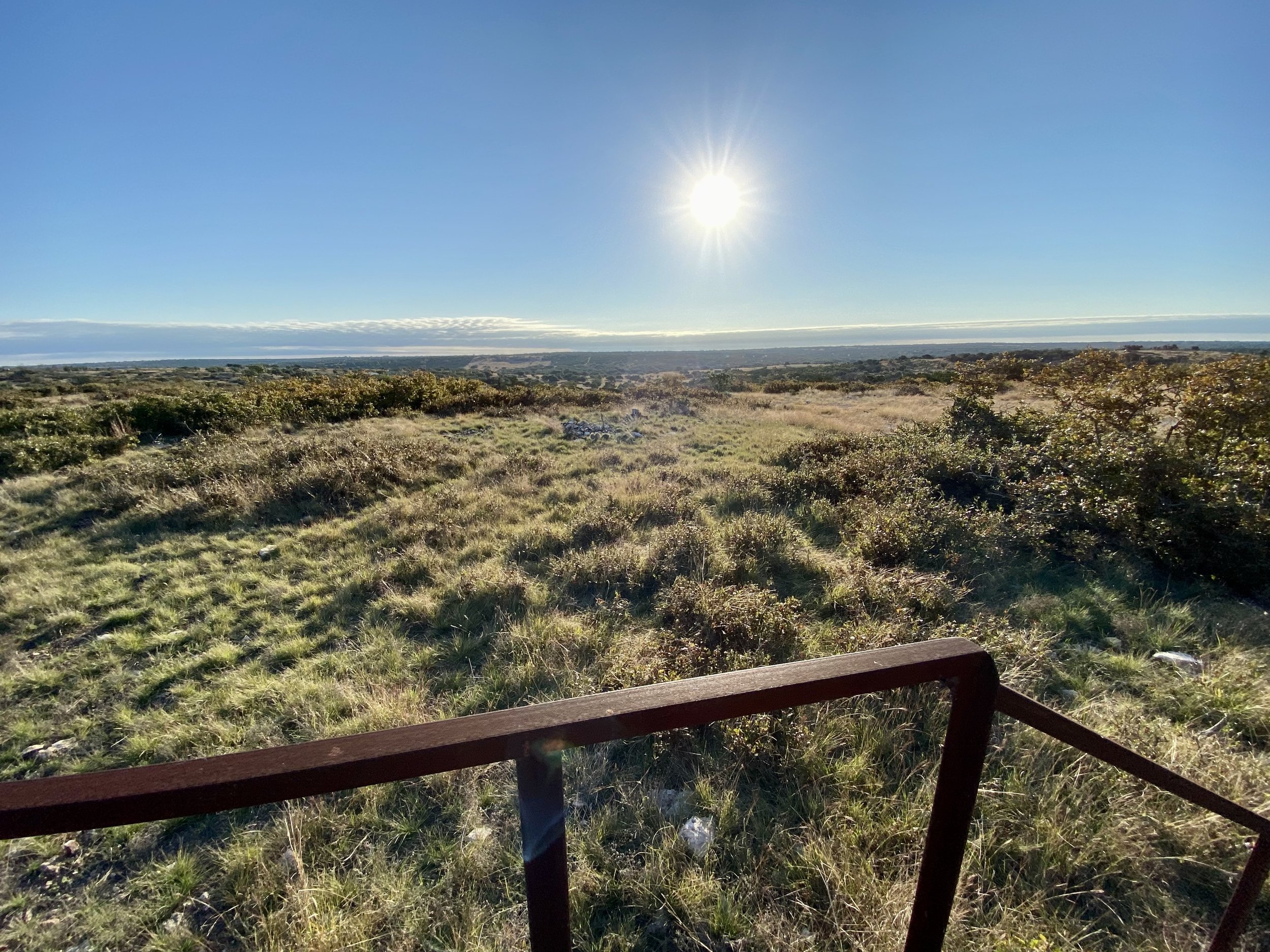 Landscape view with grassy field, bushes, and bright sun above the horizon.
