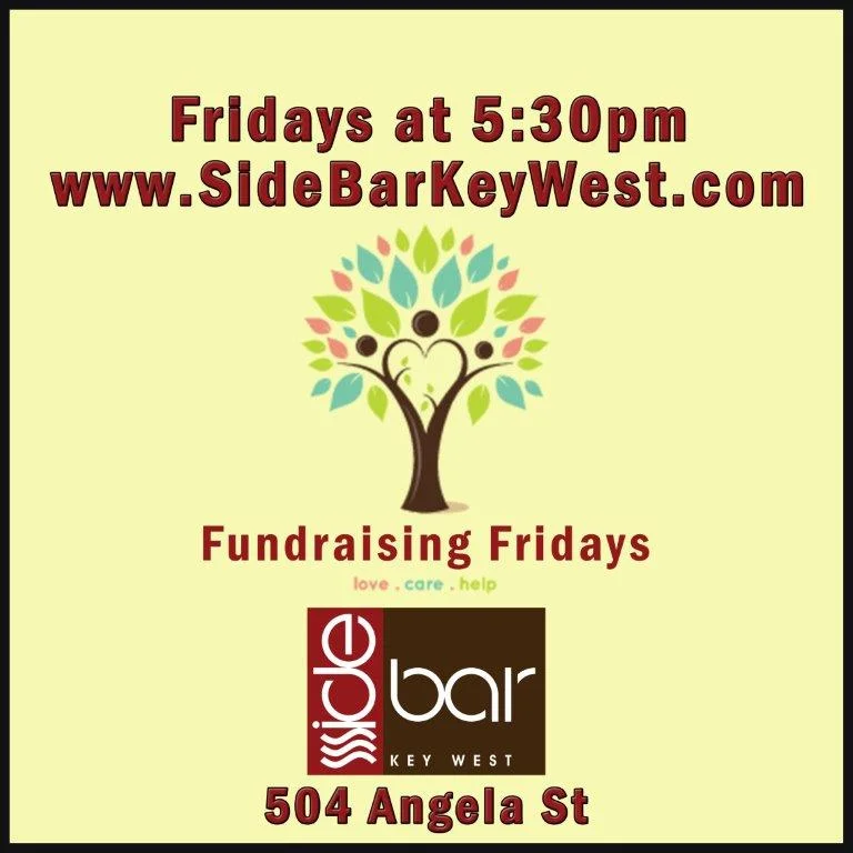 Friday Fundraising General Poster.jpeg