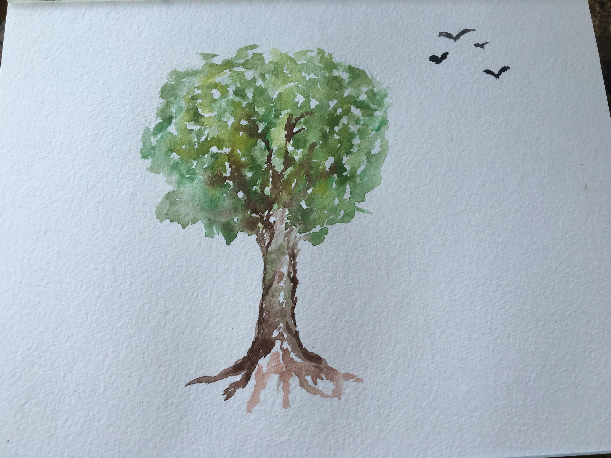 FullSizeRender (3).jpg