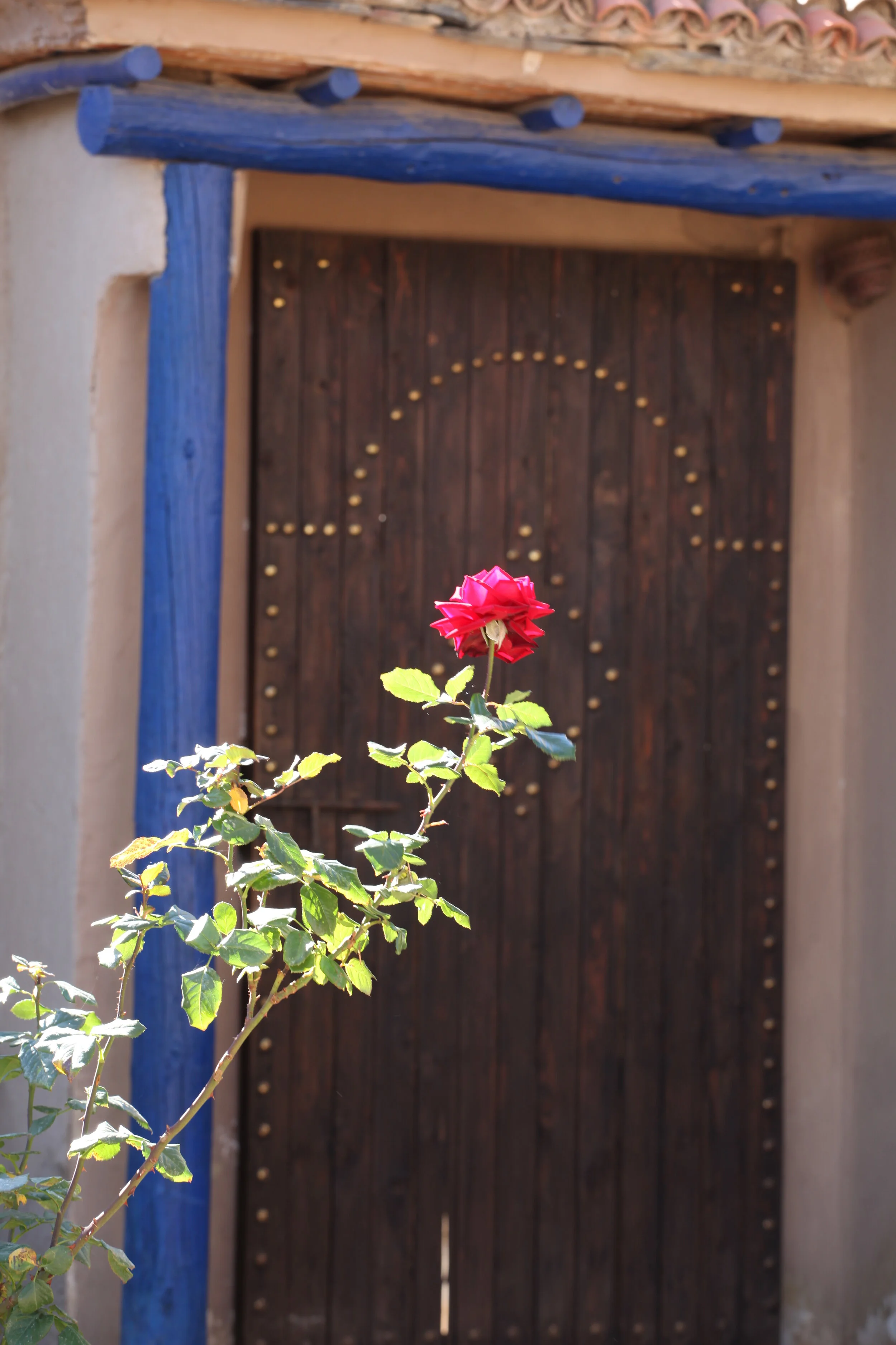 Summer Retreat - Marrakesh