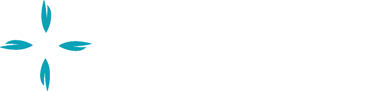 Healthlink Advocates