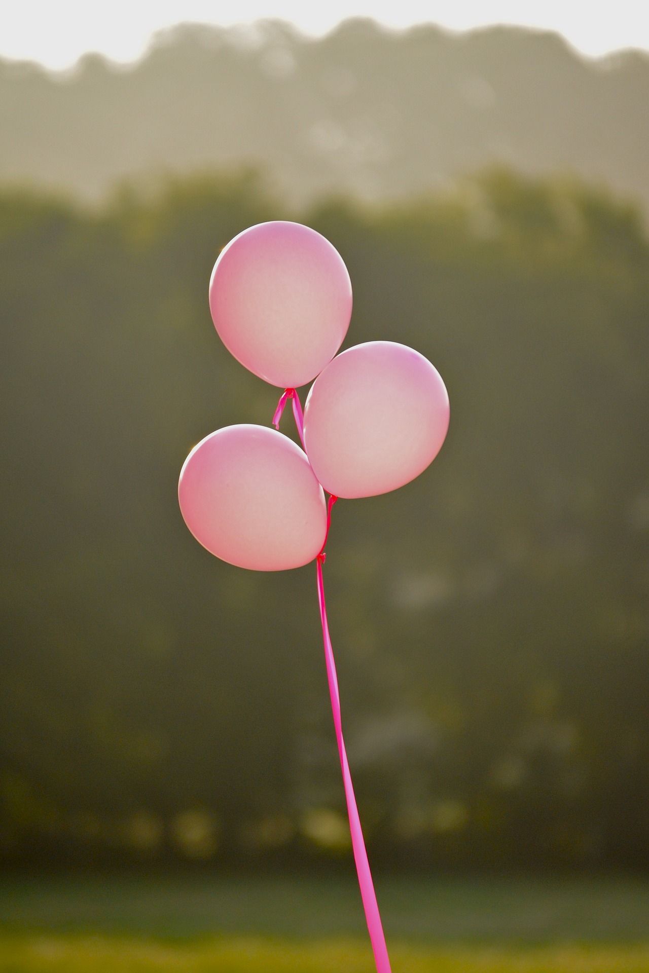 October is Breast Cancer Awareness Month