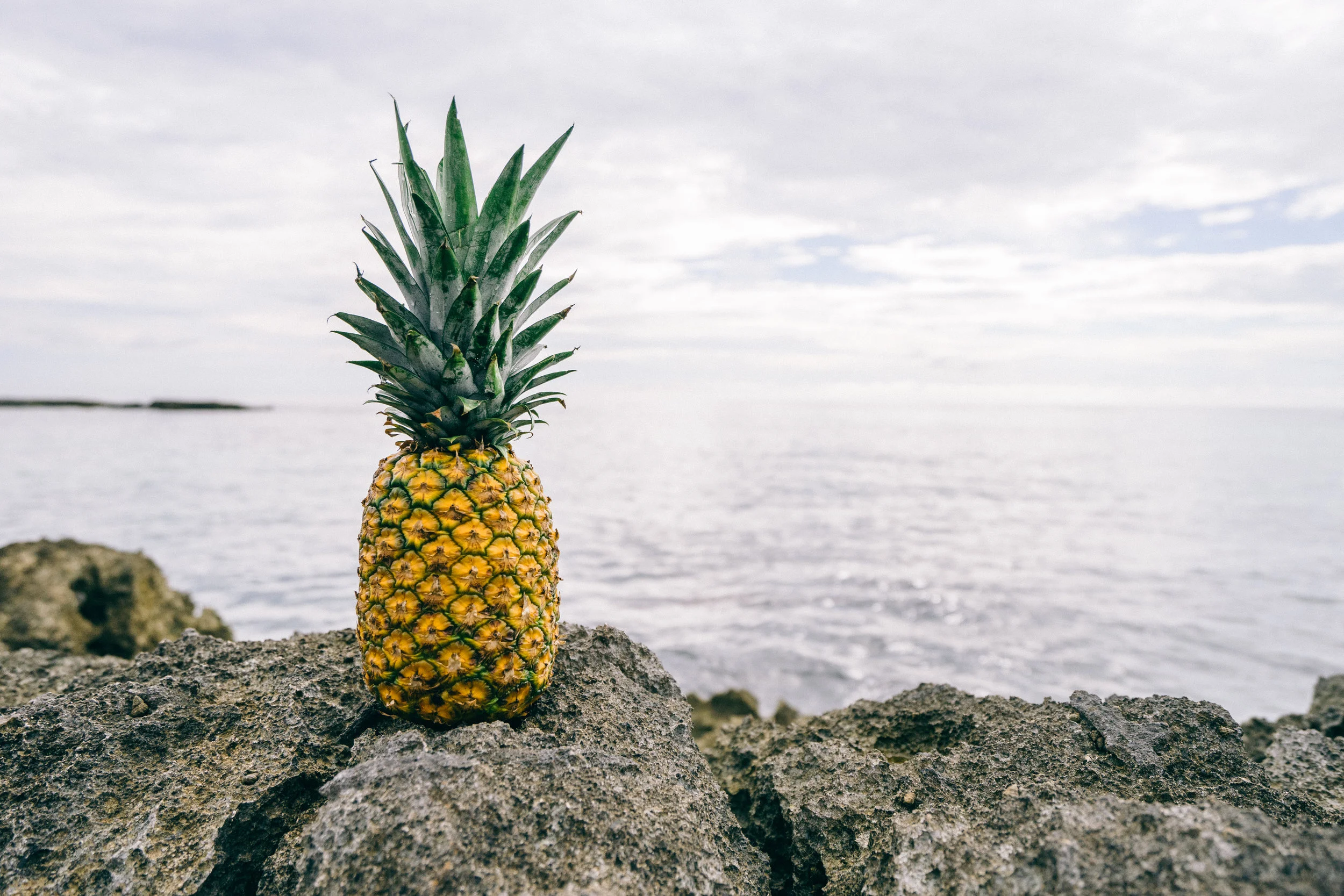 Tips for a Healthy 2020