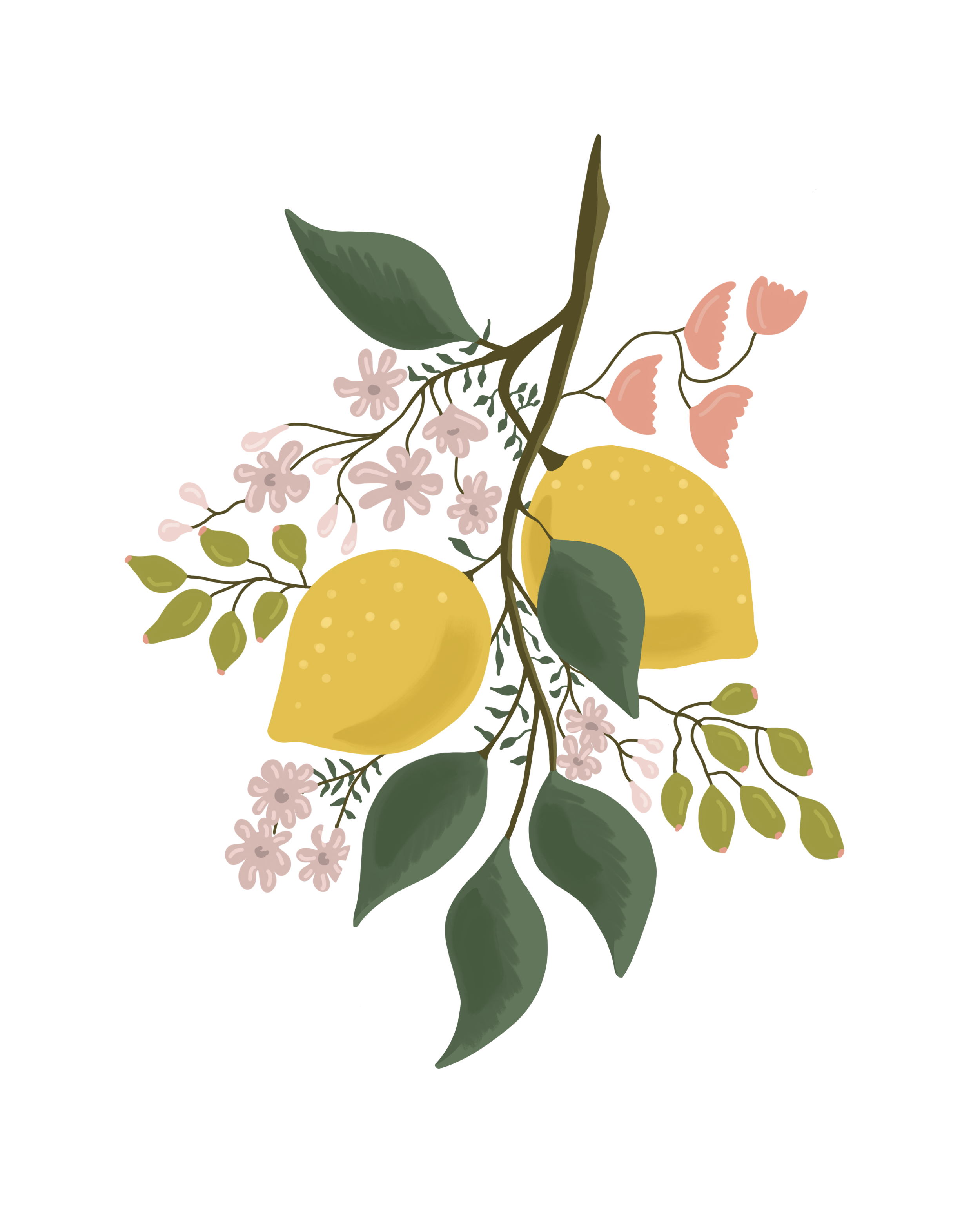 Untitled_Artwork 6.PNG