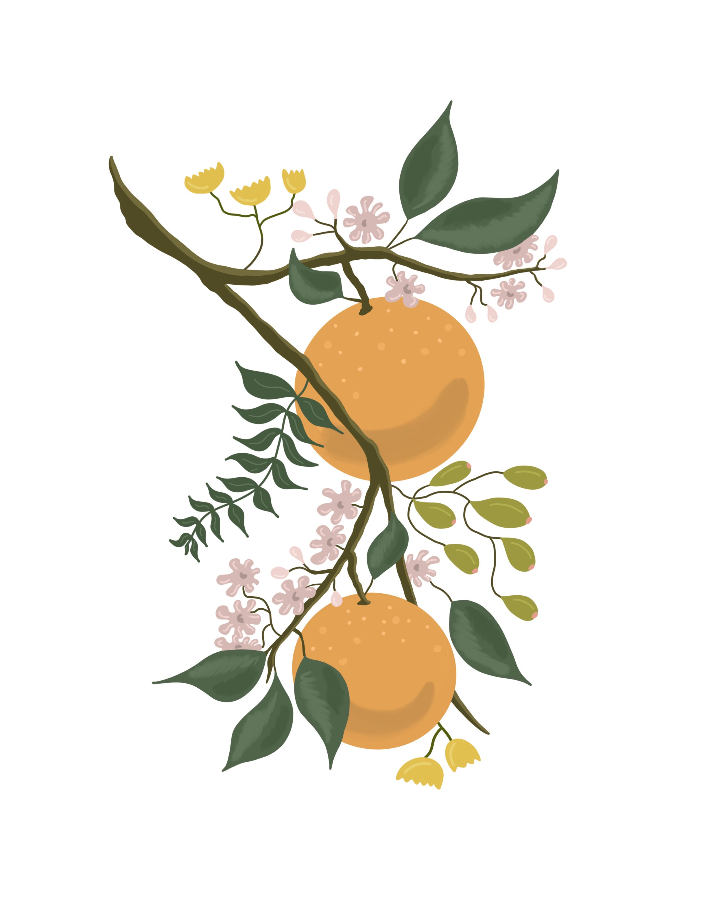 Untitled_Artwork 7.PNG