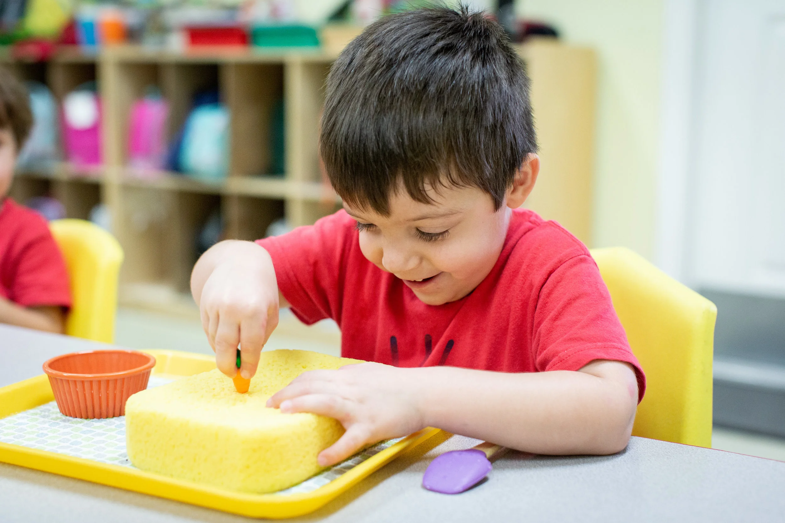 Tuition & Rates — The Brandon, Riverview and SouthShore Montessori Schools