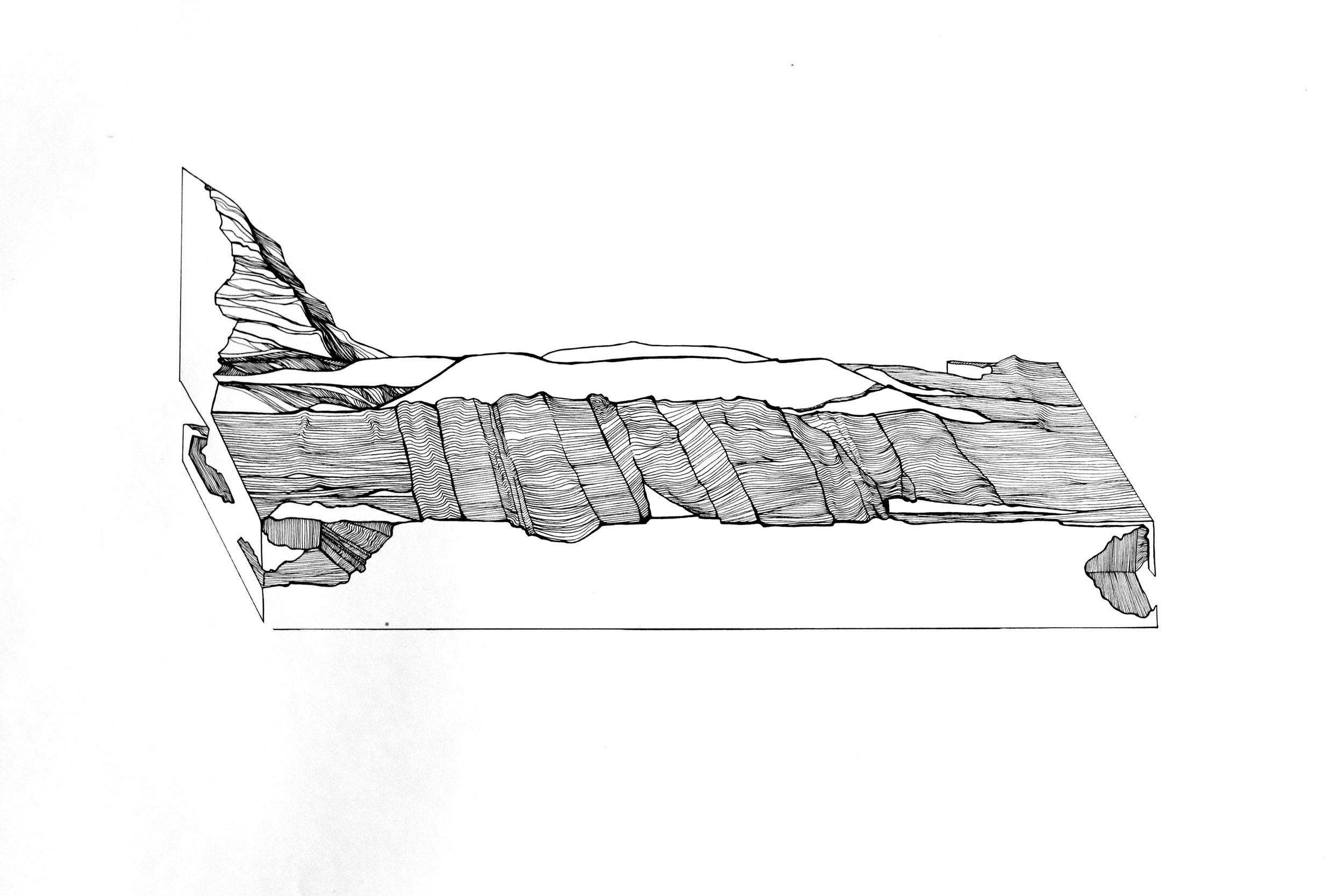 2O1A2025.jpg