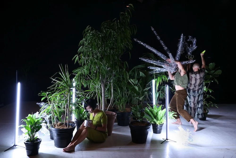 Luke George and Daniel Kok , Hundreds + Thousands, PICA 2022