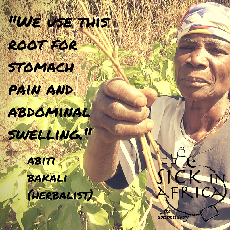 We use this root.jpg
