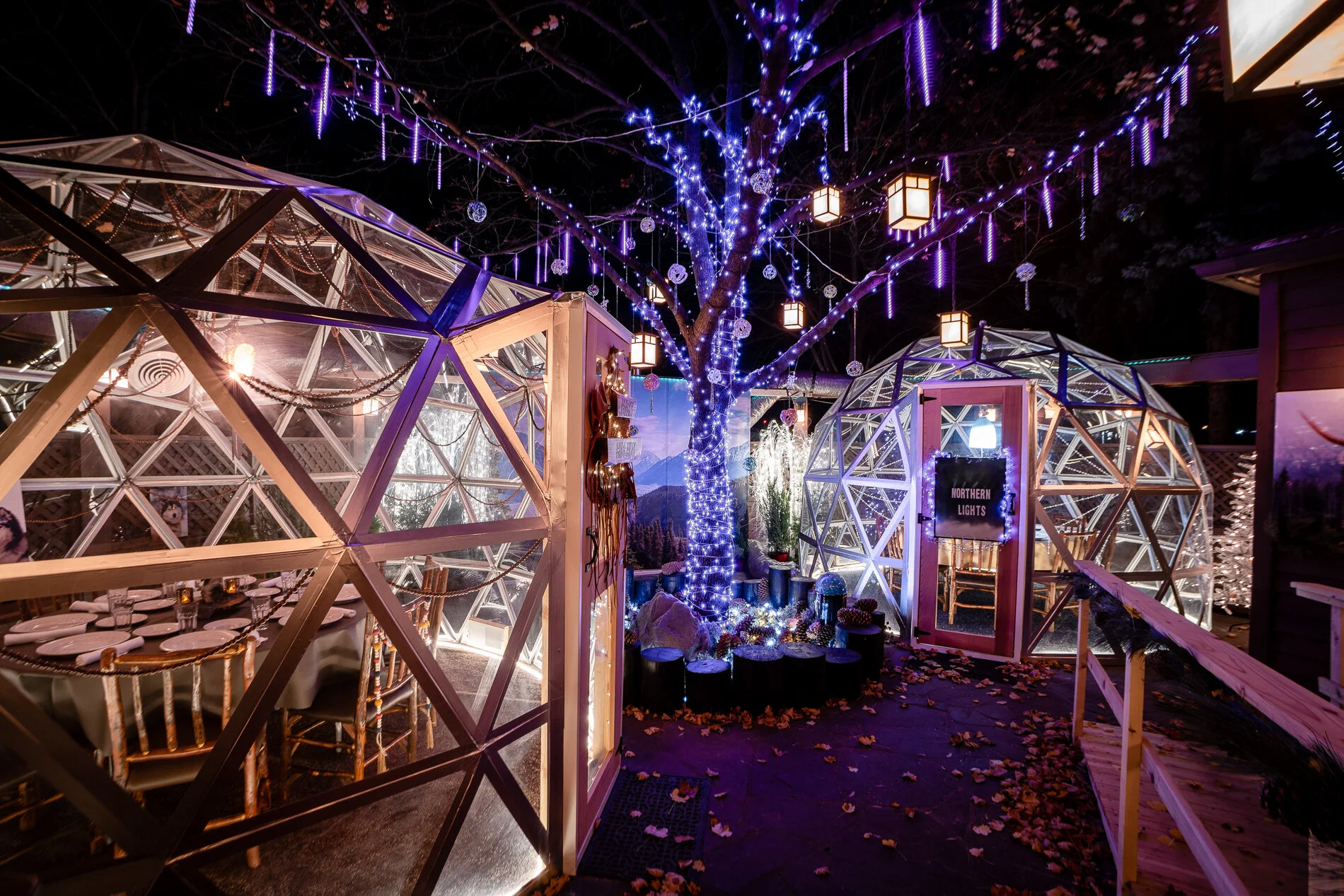 2020_11_Moose_Igloos_JH_00857_Web.jpeg